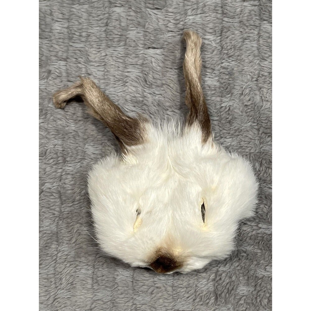 Genuine Rabbit Face Pelt White Brown Real Fur Taxidermy Oddities Curios Craft